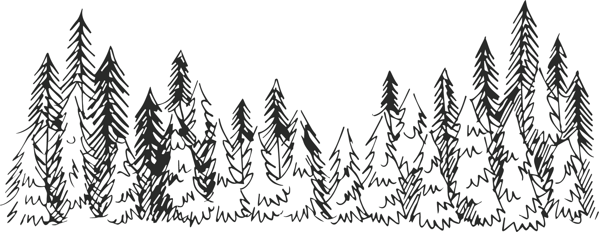 Forêt en pied de page